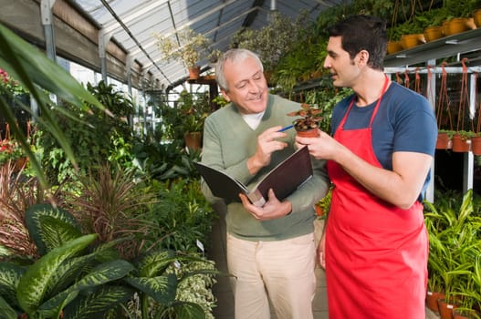 Two men making the record of plants in a garden center