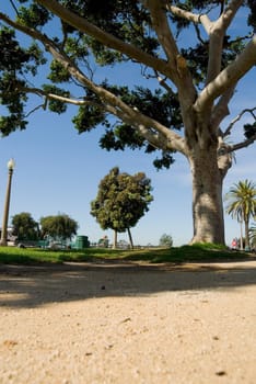 Park in Santa Monica, California