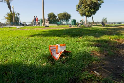 Trash on grass