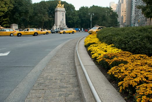 Cars on the road in a city