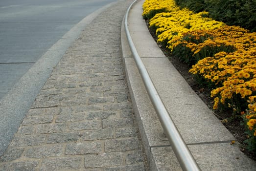 Flowers at the roadside
