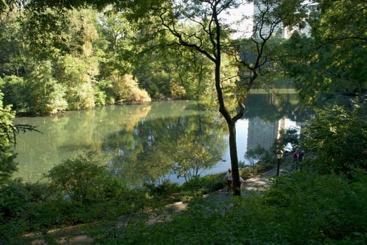 Reflection of a building and trees on water