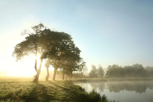 Rural landscape on a misty summer morning
