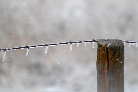 Ice covered barb wire fence and wooden post . High quality photo