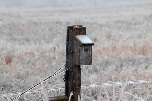 Ice icicles Covered bird house on fence post in November . High quality photo