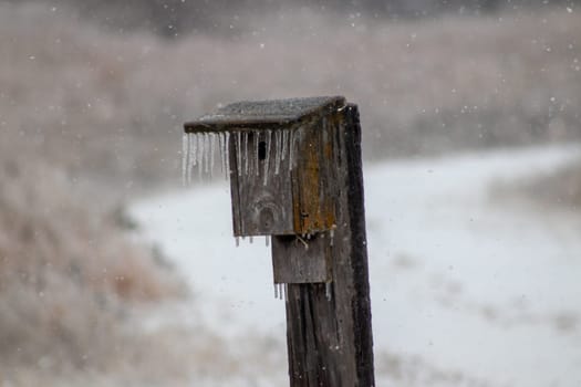Ice icicles Covered bird house on fence post in November . High quality photo