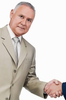Portrait of a businessman shaking hands with another businessman