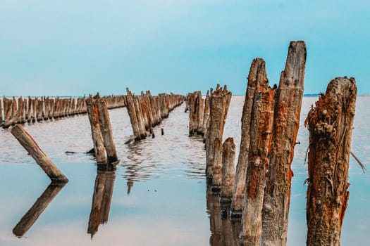 Wooden logs stand in sea water. Wooden logs stand in sea water.