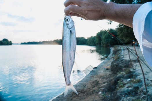 The fisherman caught a fish on the river with a fishing rod. fish in the fisherman's hand.
