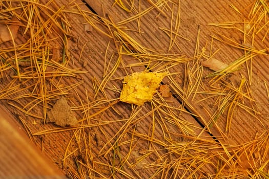 Fallen autumn leaves and hwei needles on a wooden board.