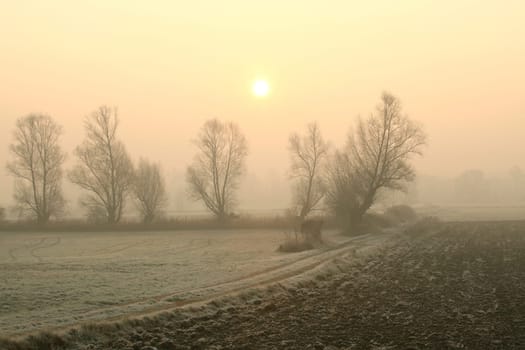 Rural landscape in the foggy November morning