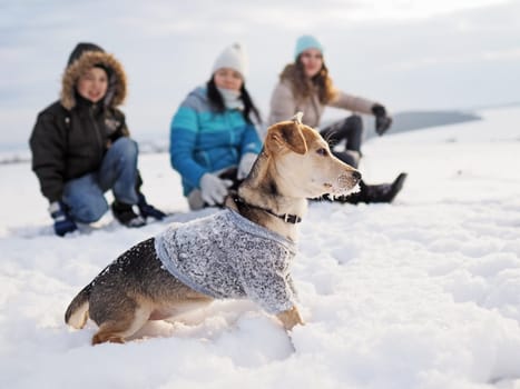 family walks the small dog in woolen clothes in the snow during winter time