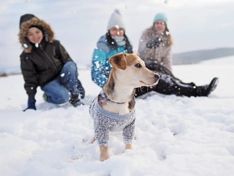 family walks the small dog in woolen clothes in the snow during winter time