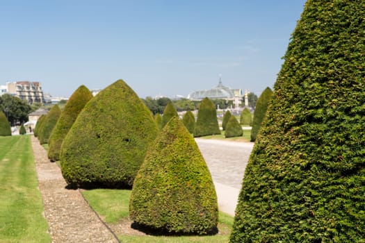 The beautiful gardens of invalides in Paris