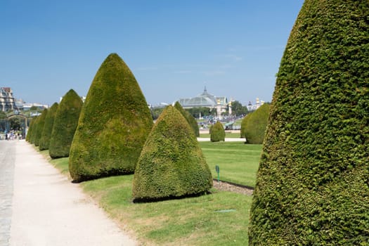 The beautiful gardens of invalides in Paris