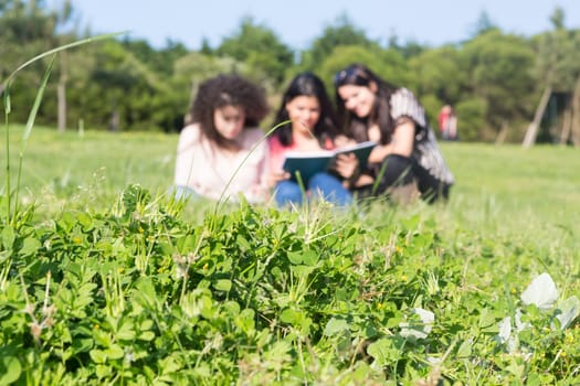 A group of students relaxing at the park - Selective focus on the grass