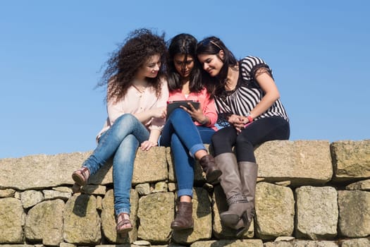 A group of students relaxing at the park