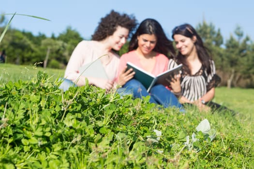 A group of students relaxing at the park - Selective focus on the grass