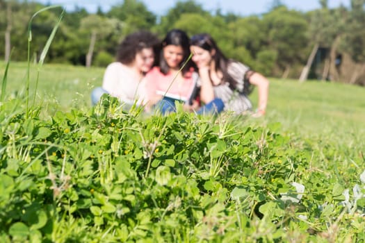 A group of students relaxing at the park - Selective focus on the grass