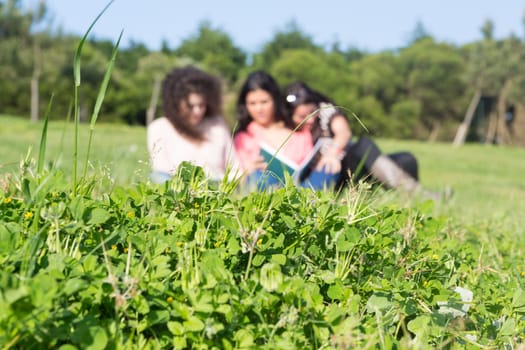 A group of students relaxing at the park - Selective focus on the grass