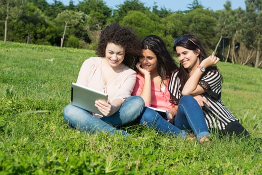A group of students relaxing at the park