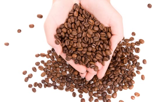 woman hands full of coffee beans, isolated over white