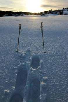 Ski poles and snowshoe tracks in the backlight of the evening sun in the winter snow