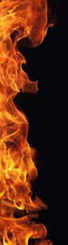 burning fire flame on black background