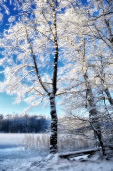 snow- and ice-covered landscape at The Liepnitzsee - Land Brandenburg