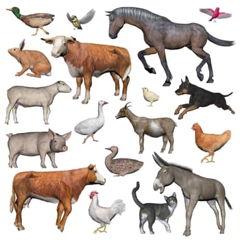 Set of farm animals isolated in white background - 3D render