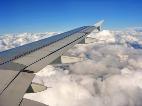 Above the clouds