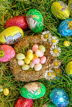 Easter eggs in a nest in the garden