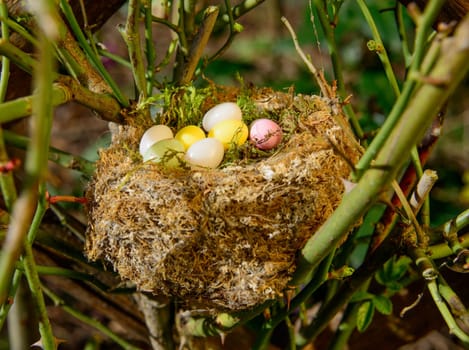 Easter eggs in a nest in the garden