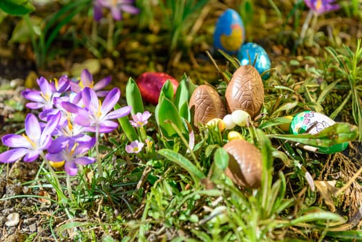 Chocolate Easter eggs in a nest in the garden