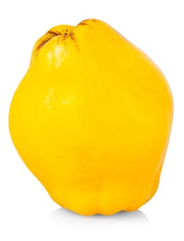 The fresh yellow quince isolated white background