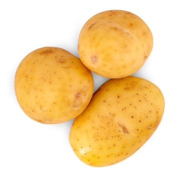 The raw potato isolated on white background