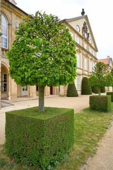 horticulturally designed hornbeam in the park of Hundisburg castle