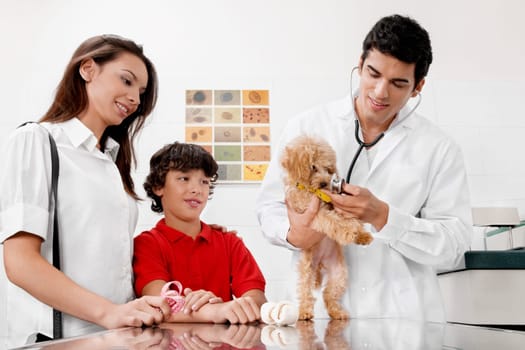 Vet examining a dog