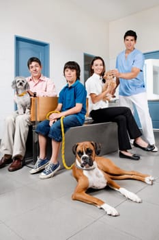 Pets with their owners in a veterinary hospital