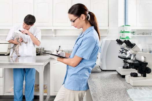 Male vet examining a cat while female vet writing prescription
