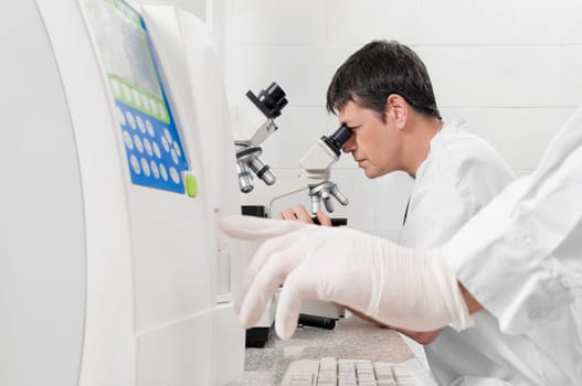 Vet looking into a microscope