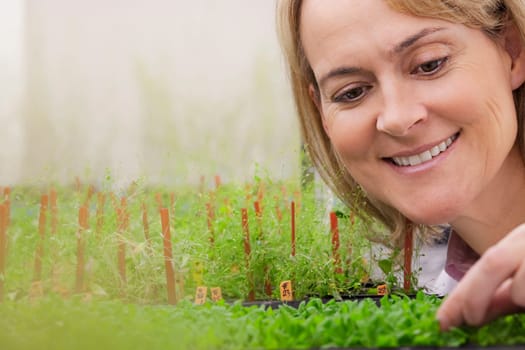Female scientist researching on plants in a laboratory