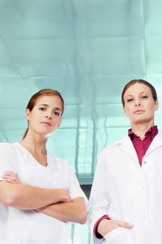Portrait of a female doctor and a nurse standing together