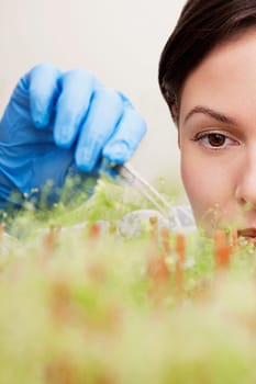 Female scientist researching on plants in a laboratory