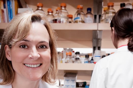 Female doctors working in a laboratory