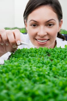 Female scientist researching on plants in a laboratory