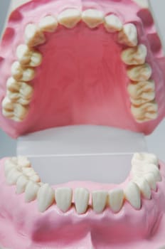 Close_up of a set of dentures