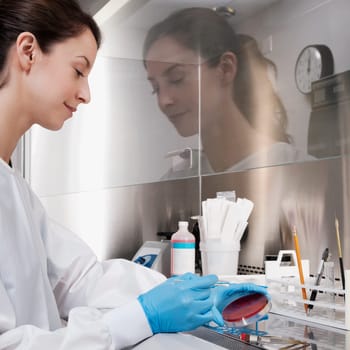 Female doctor researching in a laboratory
