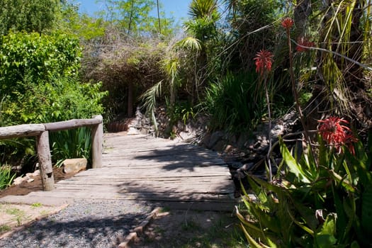 Walkway in a park