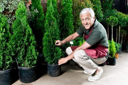 Man working in a greenhouse